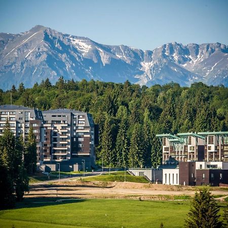 Silver Mountain 3 Bedroom Apartment ポイアナ・ブラショフ エクステリア 写真