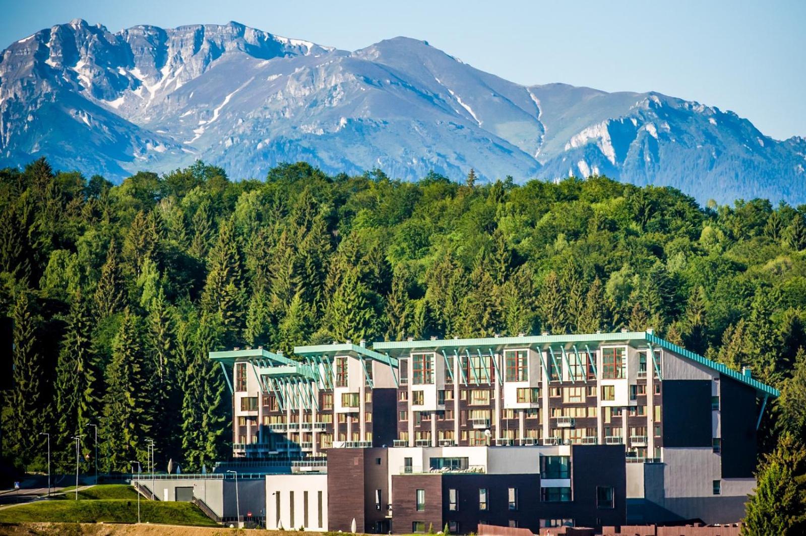 Silver Mountain 3 Bedroom Apartment ポイアナ・ブラショフ エクステリア 写真