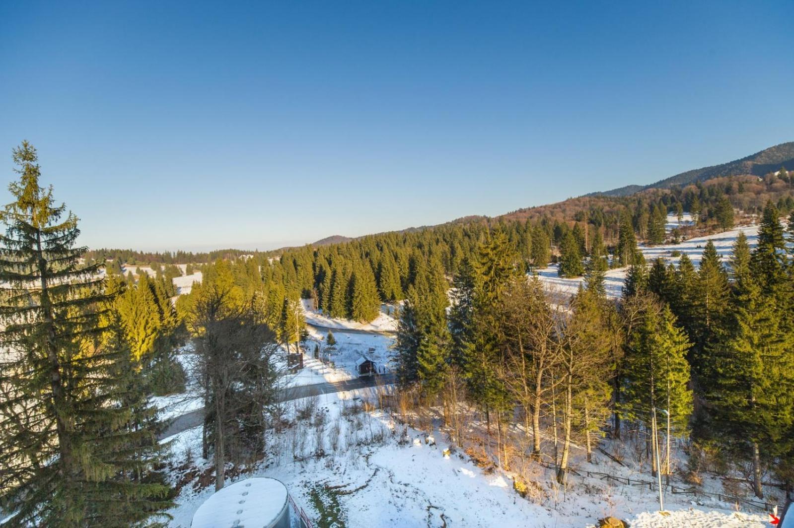 Silver Mountain 3 Bedroom Apartment ポイアナ・ブラショフ エクステリア 写真