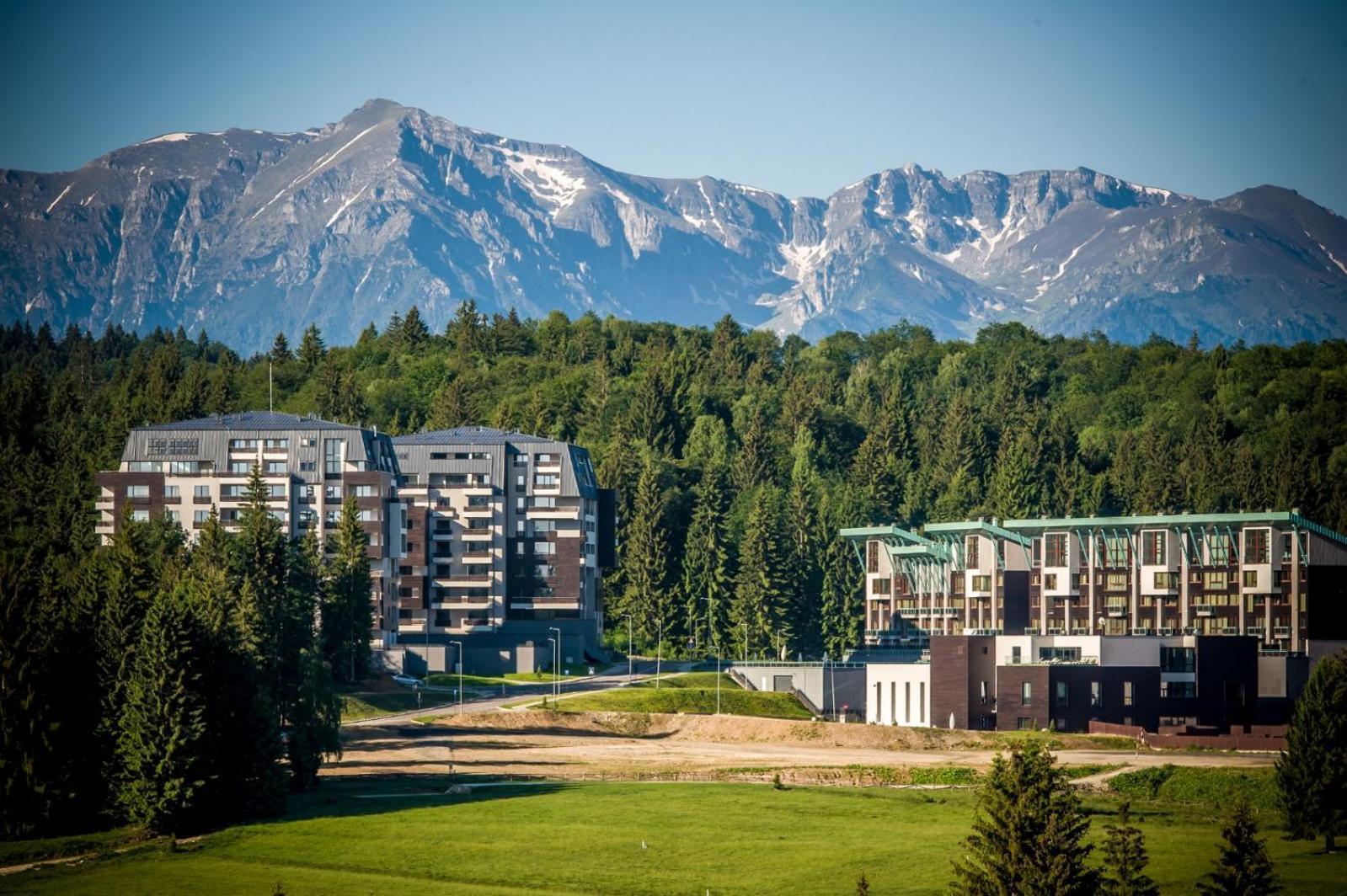 Silver Mountain 3 Bedroom Apartment ポイアナ・ブラショフ エクステリア 写真