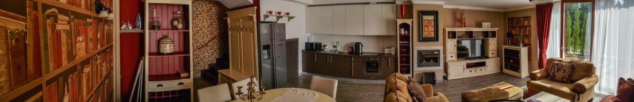 Silver Mountain 3 Bedroom Apartment ポイアナ・ブラショフ エクステリア 写真