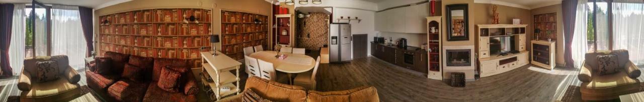 Silver Mountain 3 Bedroom Apartment ポイアナ・ブラショフ エクステリア 写真
