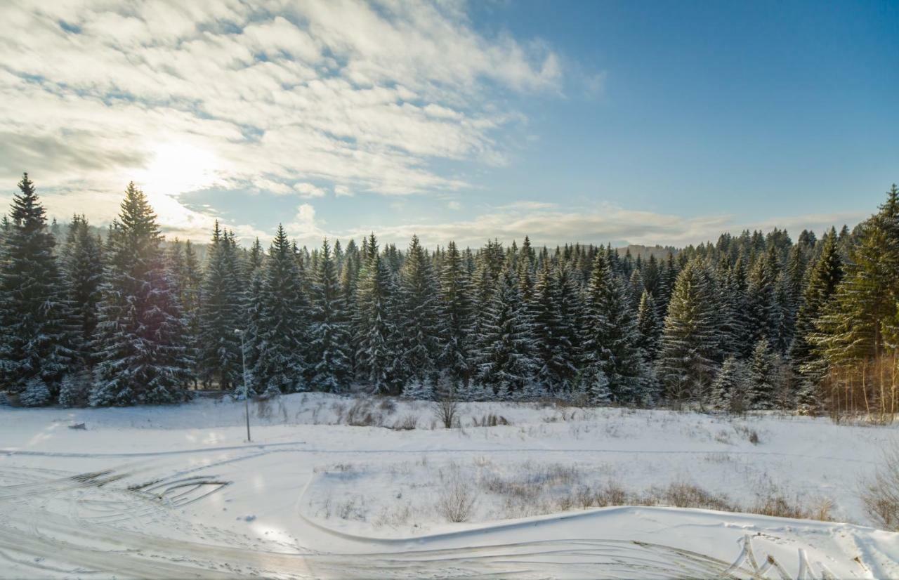 Silver Mountain 3 Bedroom Apartment ポイアナ・ブラショフ エクステリア 写真