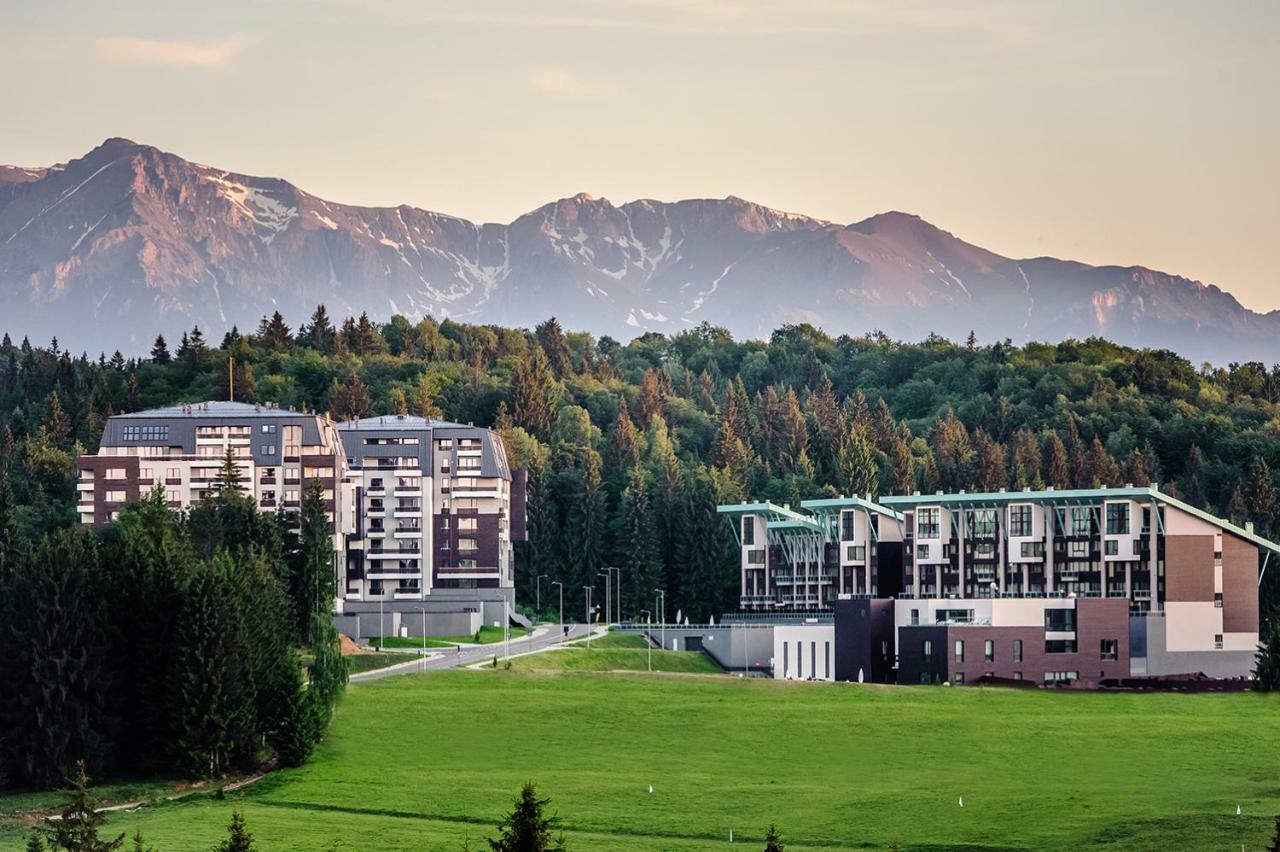 Silver Mountain 3 Bedroom Apartment ポイアナ・ブラショフ エクステリア 写真